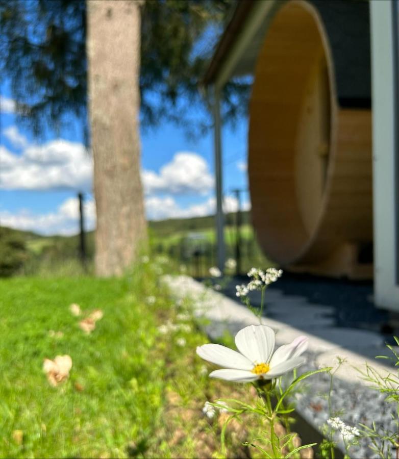 Chalet Panor'Anna St. Vith Exteriör bild